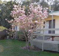 Annies Holiday Units - Taree Accommodation