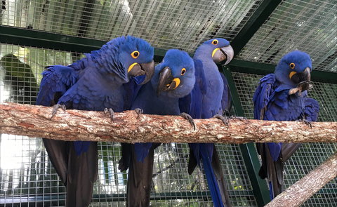 Ashmore Palms Holiday Village - Taree Accommodation 2