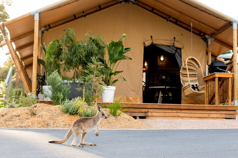 BIG4 Anglesea Holiday Park - Taree Accommodation 2