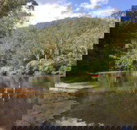 Colo Riverside Park - Taree Accommodation