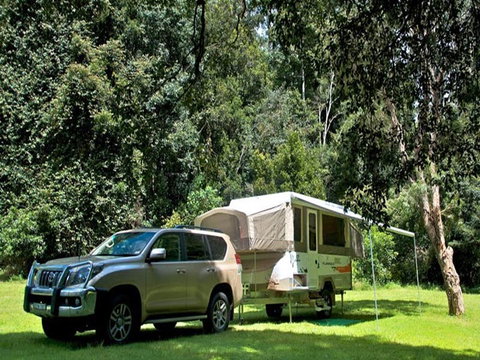 Gloucester River Campground And Picnic Area - Taree Accommodation 1