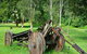 Gloucester River Campground And Picnic Area - thumb 2