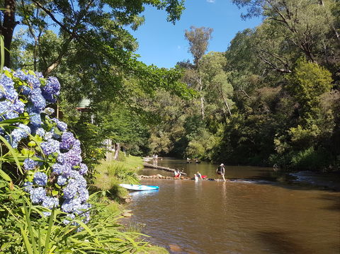 Jamieson Caravan Park - Taree Accommodation 0