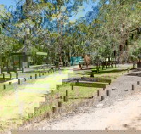 Mogo campground - Taree Accommodation