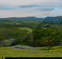 Nightcap Cottage - Taree Accommodation