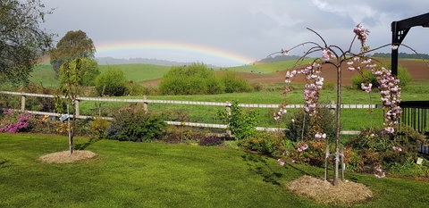 Platypus Cottage - Taree Accommodation 0