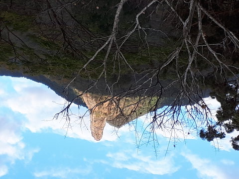 The Barn  House Farm Stay At Possum Manor - Taree Accommodation 1