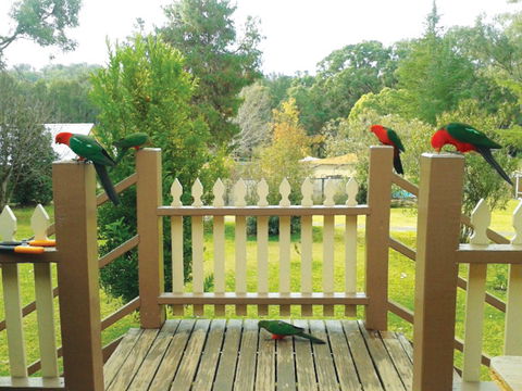 Warrumbungles Mountain Motel - Taree Accommodation 0