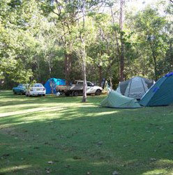 Broadwater Stopover Tourist Park - Taree Accommodation 4