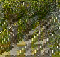 Stringybark Cottages - Taree Accommodation