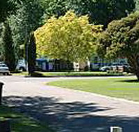 Mitchell Gardens Holiday Park - Taree Accommodation