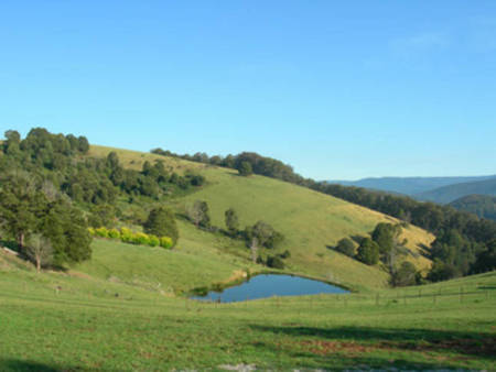 Fieldstone House - Taree Accommodation 5