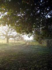 Corinella Country House - Taree Accommodation 4
