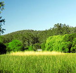 Waterholes Guest House - Taree Accommodation