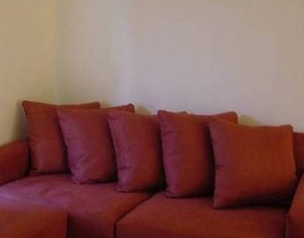 Tropical Coast Retreat - Taree Accommodation 1