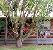 BIG4 Ballarat Windmill Holiday Park - Taree Accommodation