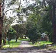 Moe Gardens Caravan Park - Taree Accommodation