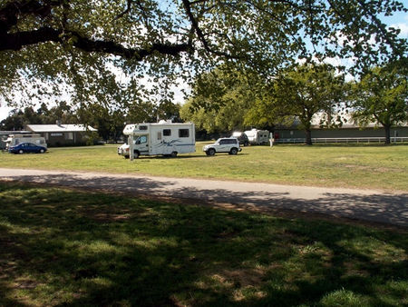 Sale Showground Caravan And Motorhome Park - Taree Accommodation 0