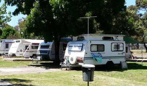 Avondel Caravan Park - Taree Accommodation 0