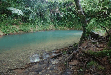 Diwan QLD Taree Accommodation