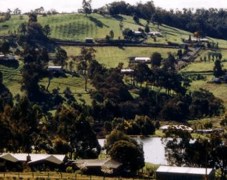 Pamelas Retreat - Taree Accommodation