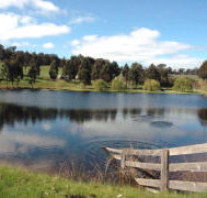 Glenlynn Cottages - Taree Accommodation