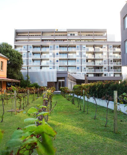 Honeysuckle Executive Apartments - Taree Accommodation 0