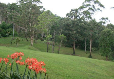 Woodridge Park Country Retreat - Taree Accommodation 3