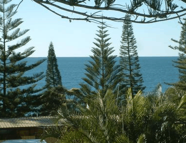 Next Seabreeze Beach Hotel - Taree Accommodation 2