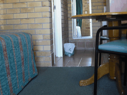 Dragon  Phoenix Motel - Taree Accommodation