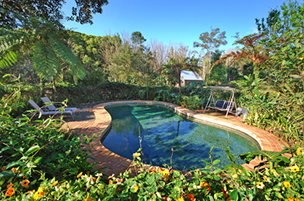 Acacia Dreaming At Light On Retreat - Taree Accommodation 3