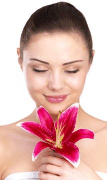 Sorbet Day Spa - Taree Accommodation 0