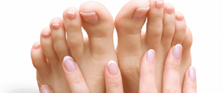 Ella Bache - Taree Accommodation 0