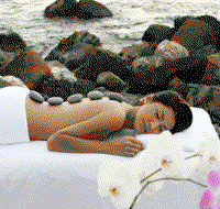 Sparadise Day Spa - Taree Accommodation