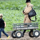 Perth City Farm Organic Markets - thumb 0