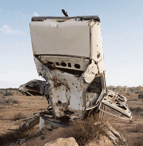 Anthony Riding Gallery - Taree Accommodation