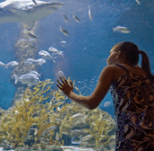The Aquarium of Western Australia - Taree Accommodation