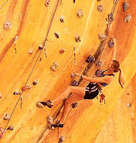 Rocksports Indoor Climbing - Taree Accommodation