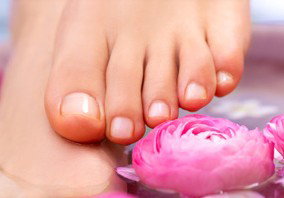 Indulge Spa Retreat - Taree Accommodation 3