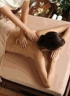 Argital Clay Australia - Taree Accommodation 1