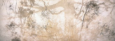 Dianne Tanzer Gallery & Projects - Taree Accommodation 3