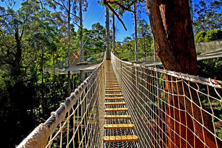 Taree Accommodation