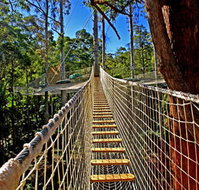 Thunderbird Park - Taree Accommodation