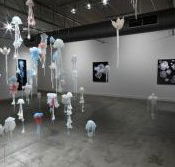 Nellie Castan Gallery - Taree Accommodation