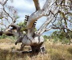 Colour Factory Gallery - Taree Accommodation 3