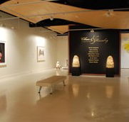 Counihan Gallery In Brunswick - Taree Accommodation