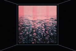 Paradise Hills - Taree Accommodation 1