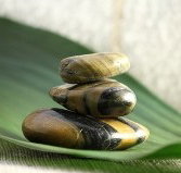 The Nature of Balance - Taree Accommodation