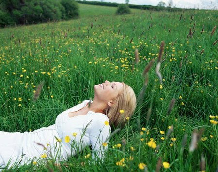 ANEW YOU Mind - Body Solutions - Taree Accommodation 0