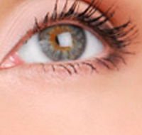 Cinnamon Stix Hair  Day Spa - Taree Accommodation